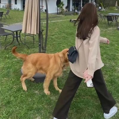 落跑钱
